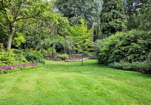 Optimiser l'expérience du jardin à Vieux-Charmont